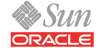 Programación Java Intermedio - Sun Programación Java Intermedio - Sun