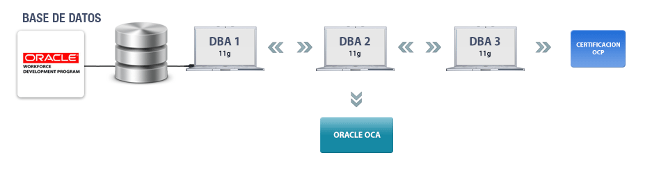 oracle base de datos